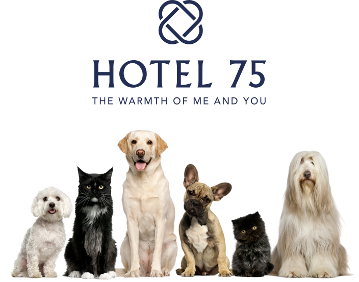 HOTEL 75 THE WARMTH OF ME AND YOU 